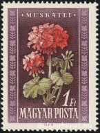 1950. Virág