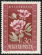1950. Virág