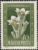 1950. Virág