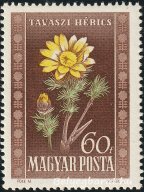 1950. Virág