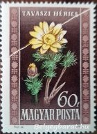1950. Virág