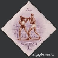 1953. Népstadion