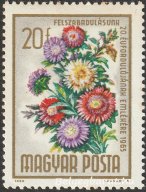 1965. Felszabadulás - Virág