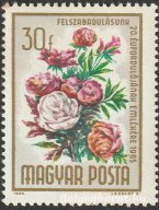 1965. Felszabadulás - Virág