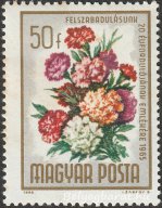 1965. Felszabadulás - Virág