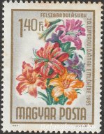1965. Felszabadulás - Virág