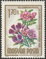 1965. Felszabadulás - Virág
