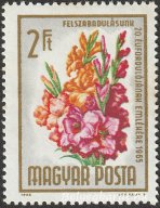 1965. Felszabadulás - Virág