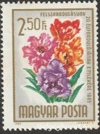 1965. Felszabadulás - Virág
