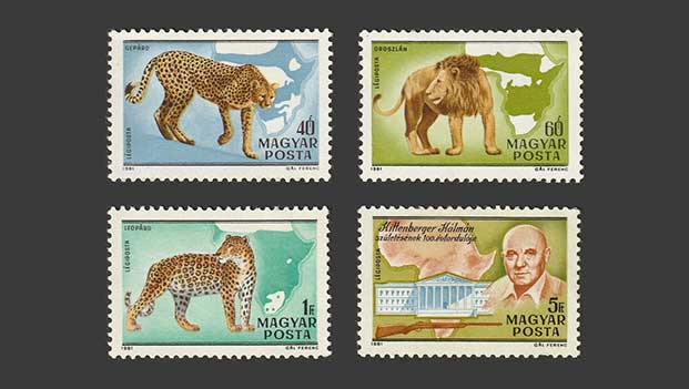 1981. Kittenberger Kálmán születésének 100. évfordulója