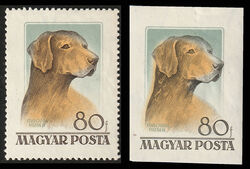 1956. Magyarországi kutyafajták